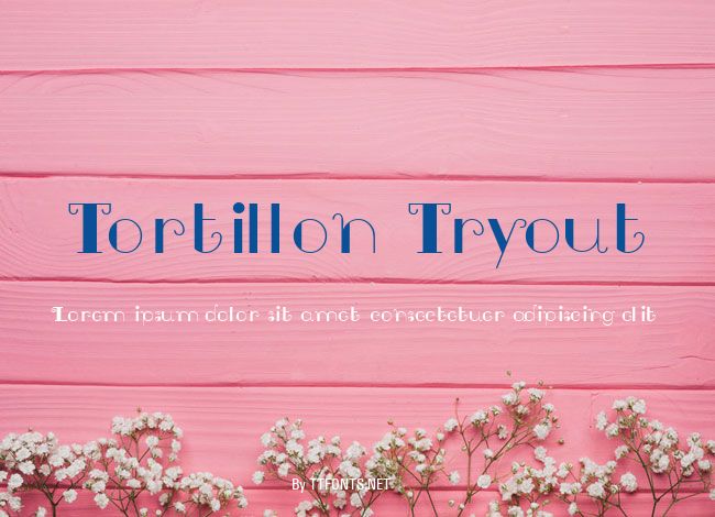 Tortillon Tryout example
